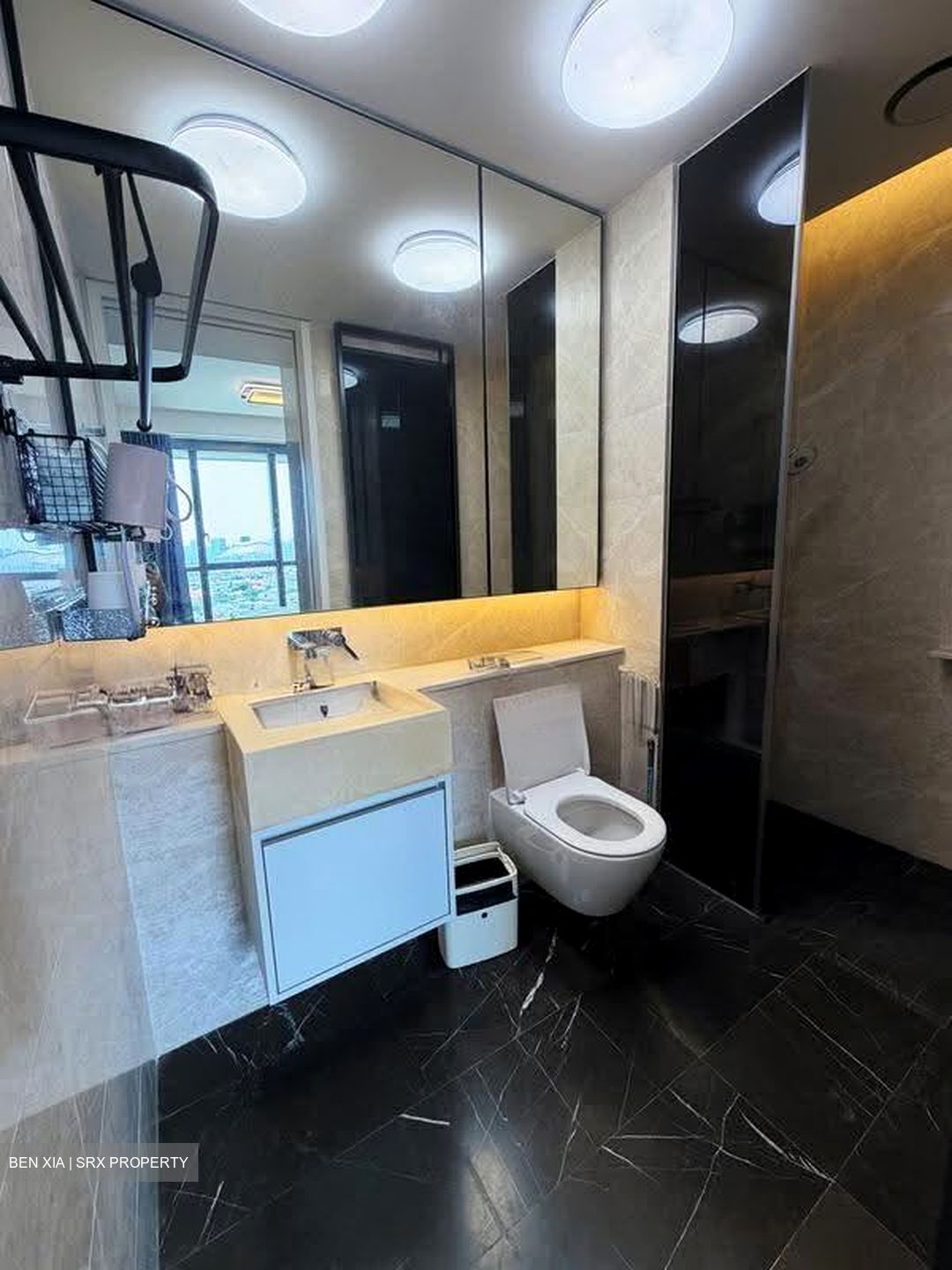 Amber Park (D15), Condominium #609639441